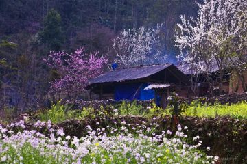 Tour Hà Nội - Sapa 3N2Đ: Hàm Rồng - Fansipan - Bản Cát Cát