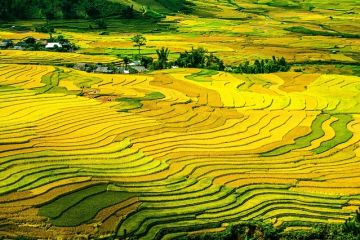 Tour Du Lịch Sapa 2 Ngày 1 Đêm Bằng Ô Tô