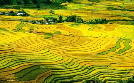 Tour Du Lịch Sapa 2 Ngày 1 Đêm Bằng Ô Tô
