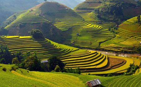 Tour Miền Bắc 5N4D: Sapa - Hạ Long