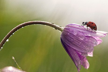 Nên đi du lịch Hàn Quốc thời gian nào