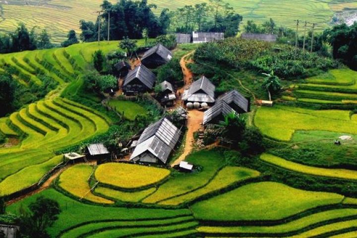 Tour Miền Bắc 2N1D: Hà Nội - Cát Cát - Hàm Rồng