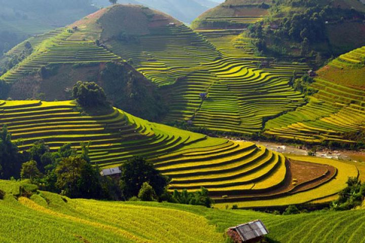 Tour Miền Bắc 3N2D: Hà Nội - Sapa