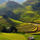 Tour Miền Bắc 3N2D: Hà Nội - Sapa